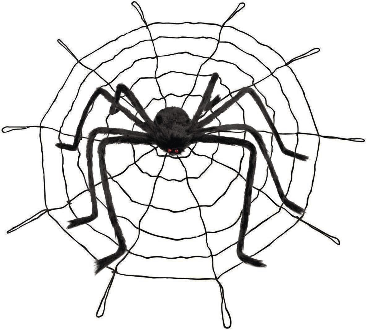 _Spider_CMYK.jpg
